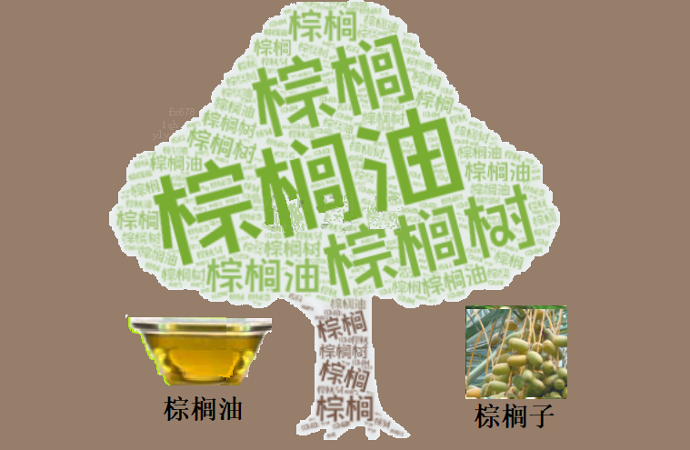 出口骤降与原油走弱 棕榈油市场面临双重压力(图1)